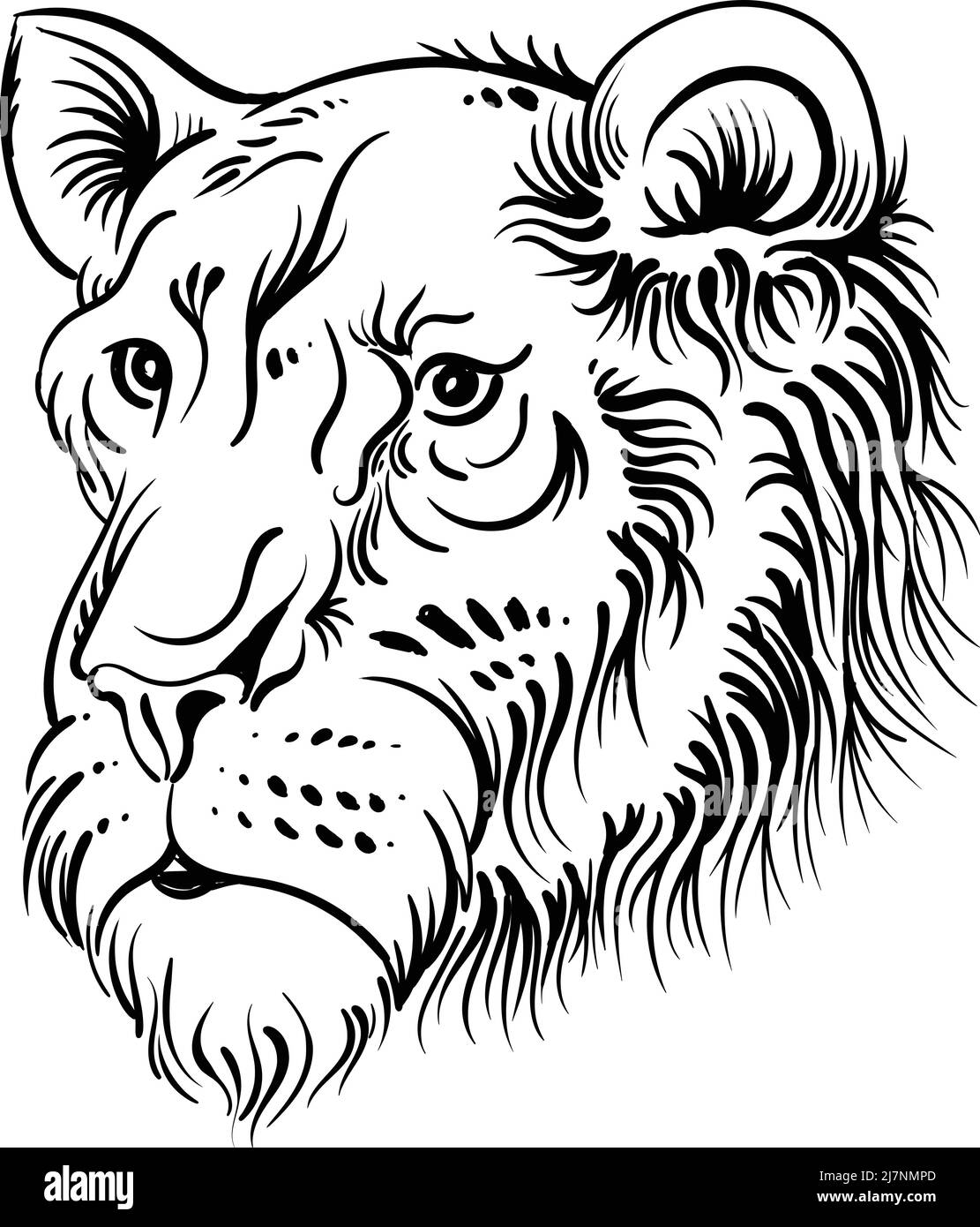 Il leone con logo Vector per tatuaggio o maglietta stampa o outwear. Sfondo leoni stile caccia. Questo disegno a mano sarebbe bello da fare sul bl Illustrazione Vettoriale