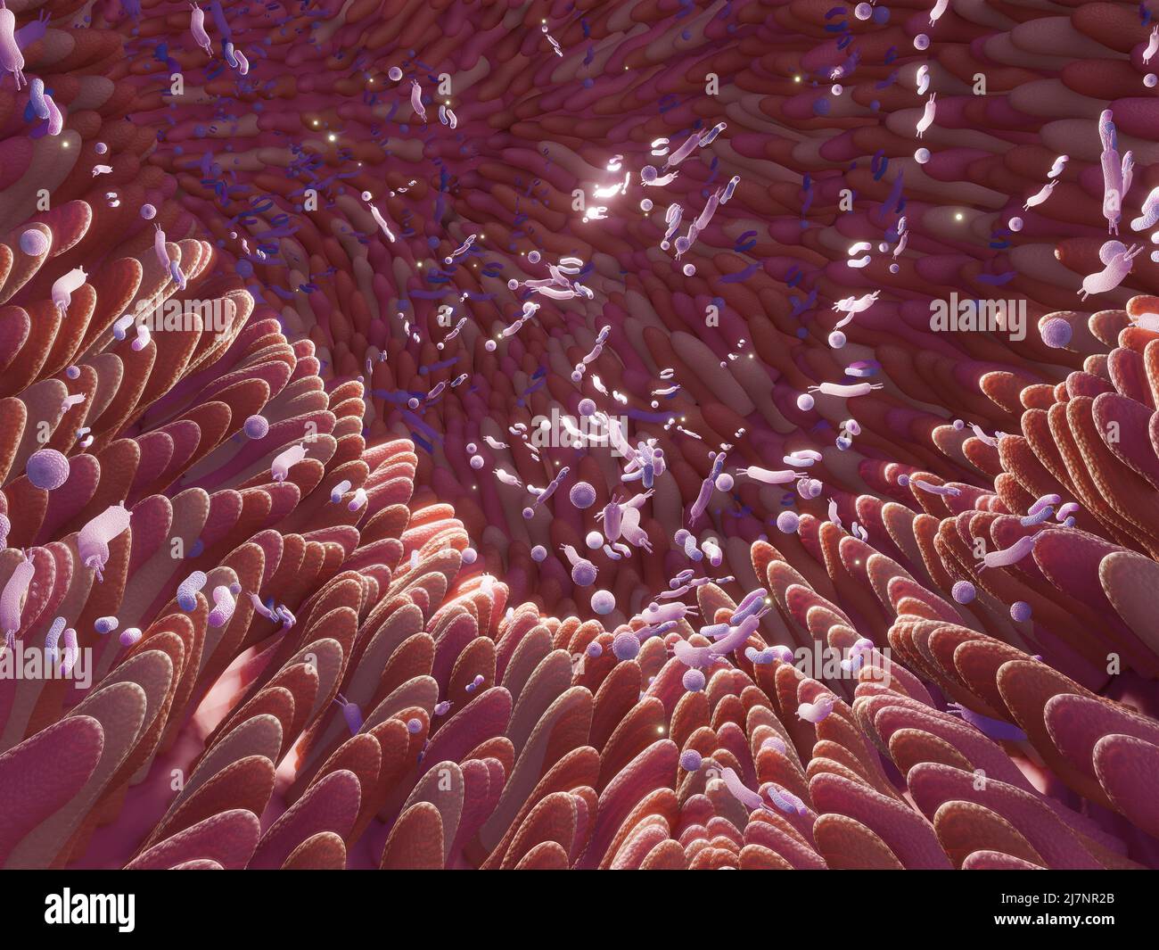 Microbioma intestine fabbriche e microbiota. Salute intestinale 3D resa. Microvilli con fabbriche a livello intestinale Foto Stock