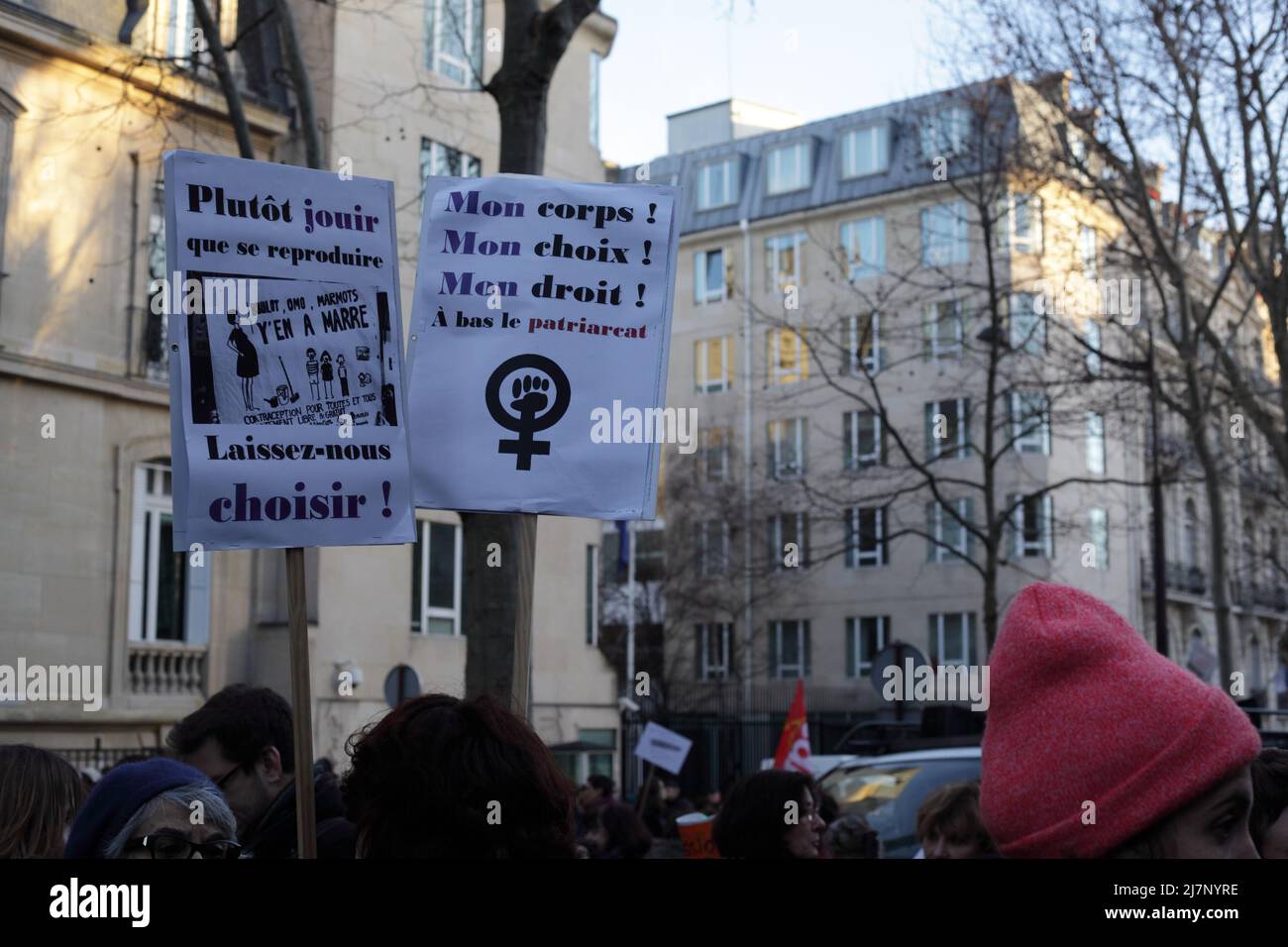 Parigi : manifestation contre le projet de loi anti-avortement en Espagne 01er février 2014. Panneau 'plutôt jouir que se reproduire', 'Mon corps, mon Foto Stock