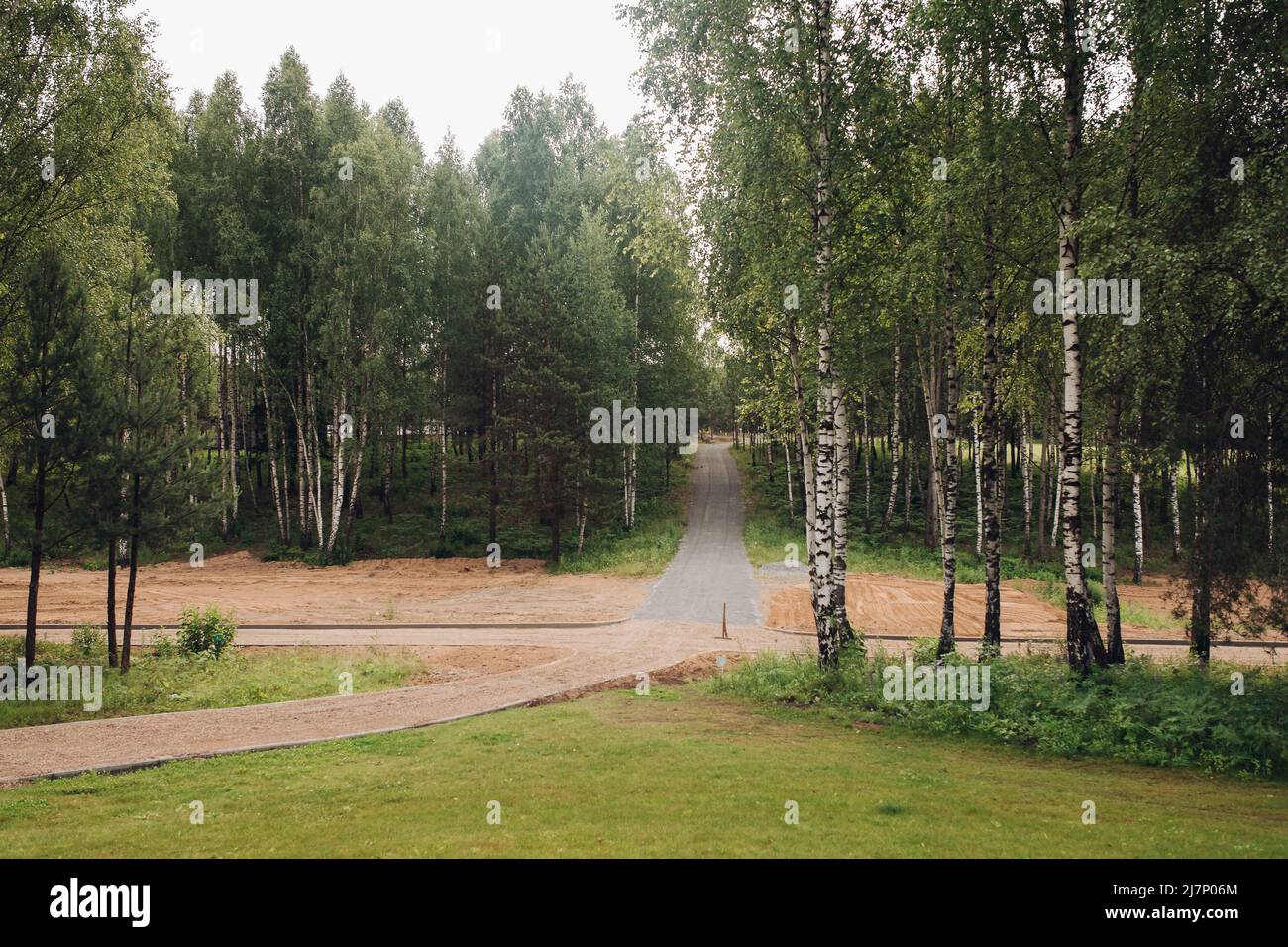 Vista del verde parco vuoto con betulle durante la primavera Foto Stock