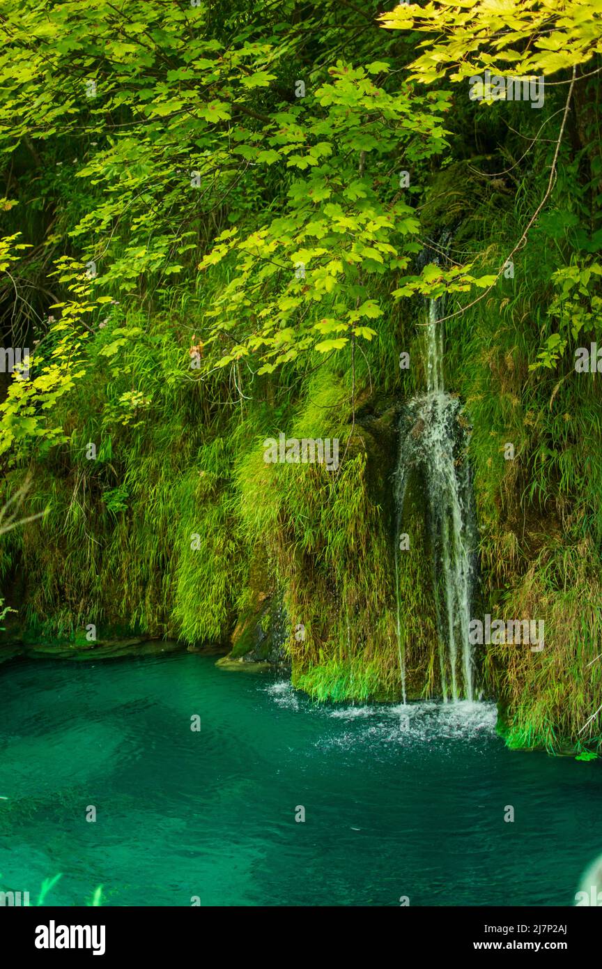 Vista sul lago di Plitvice nel parco nazionale della Croazia Foto Stock