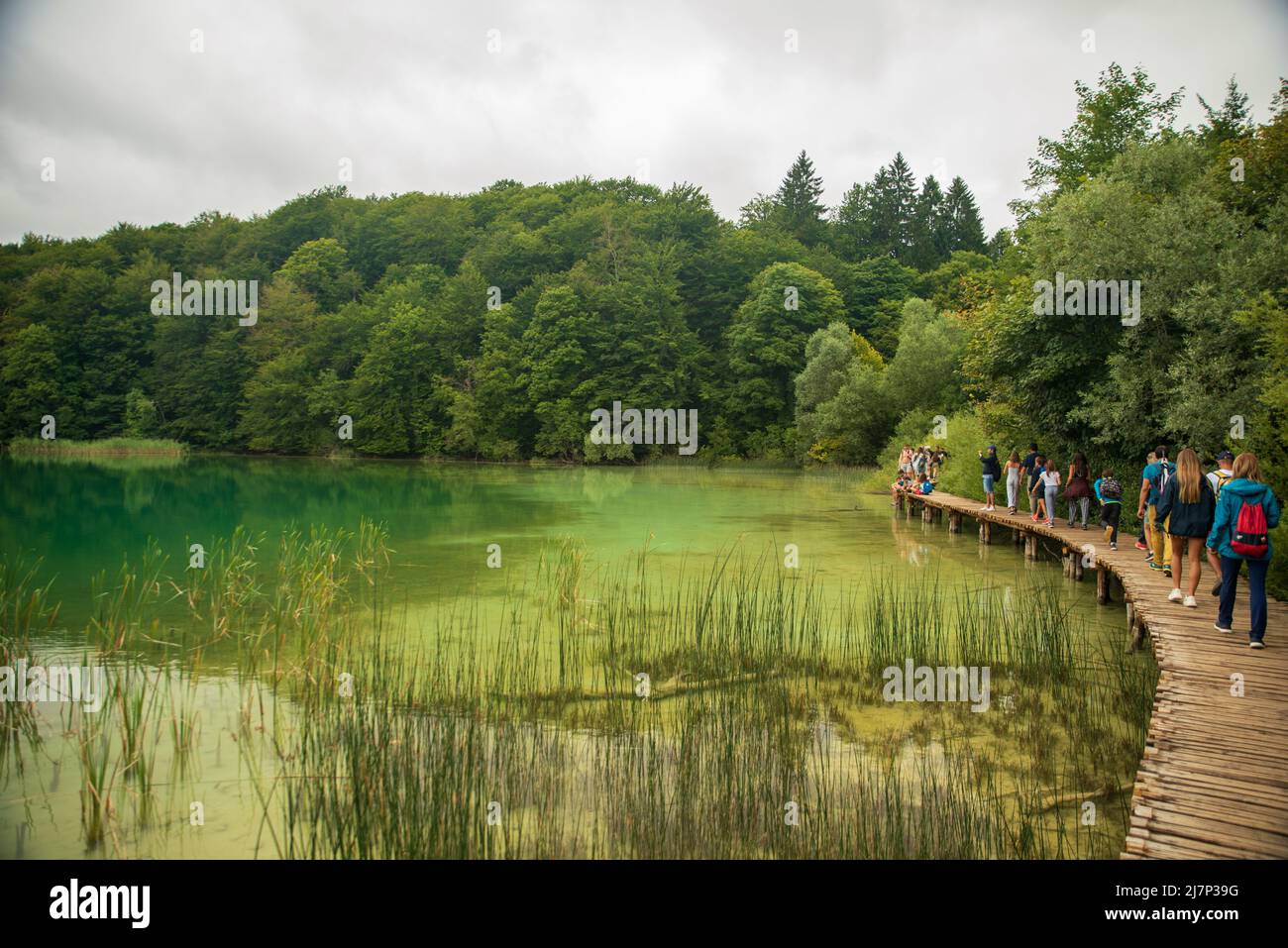 Vista del parco nazionale di Plitvice in Croazia Foto Stock