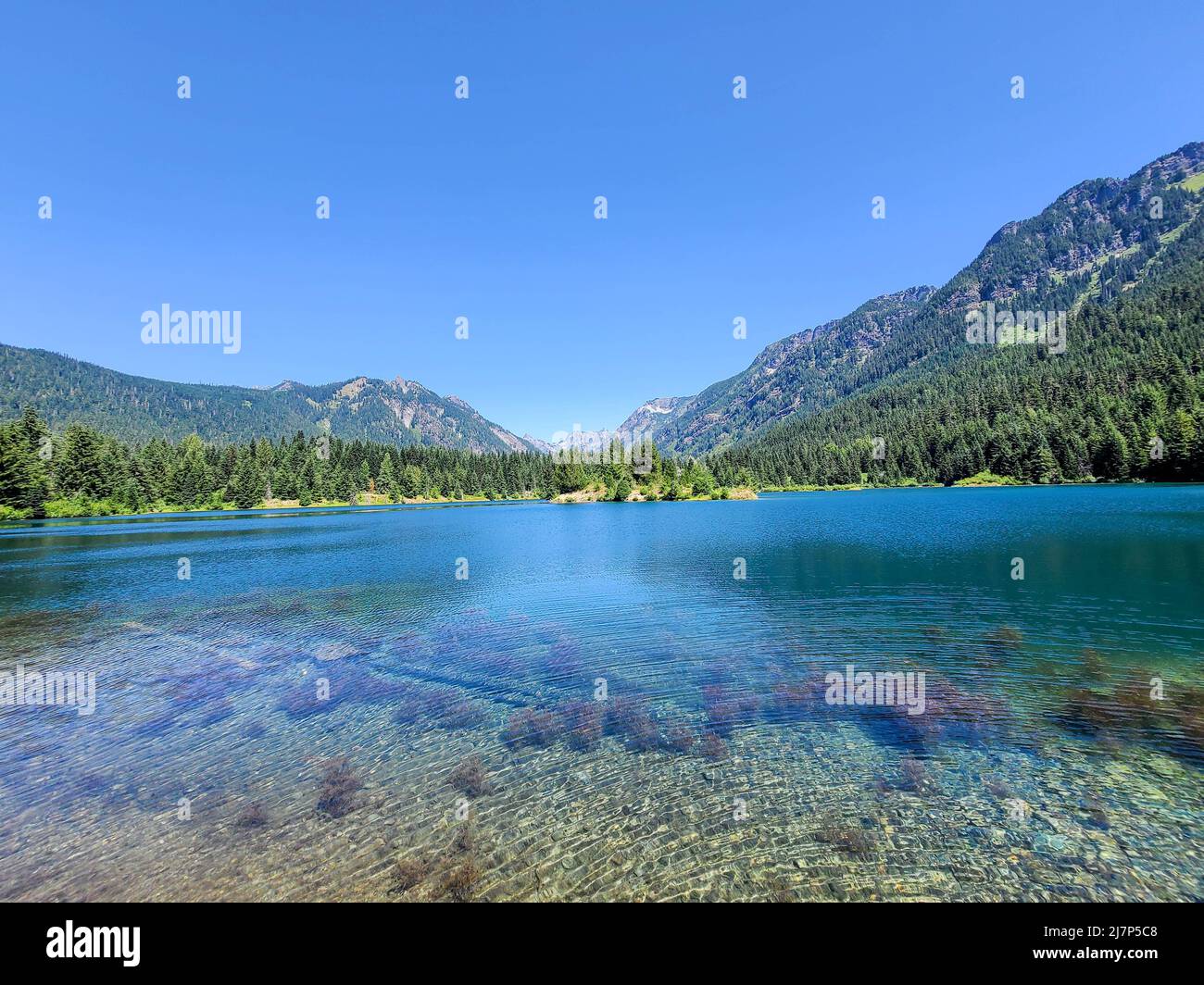 Area picnic con vista sul laghetto di Gold Creek Foto Stock