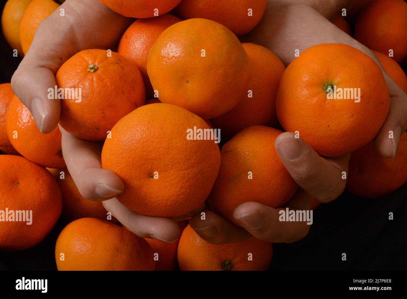 Uomo con grembiule pieno di arance Foto Stock