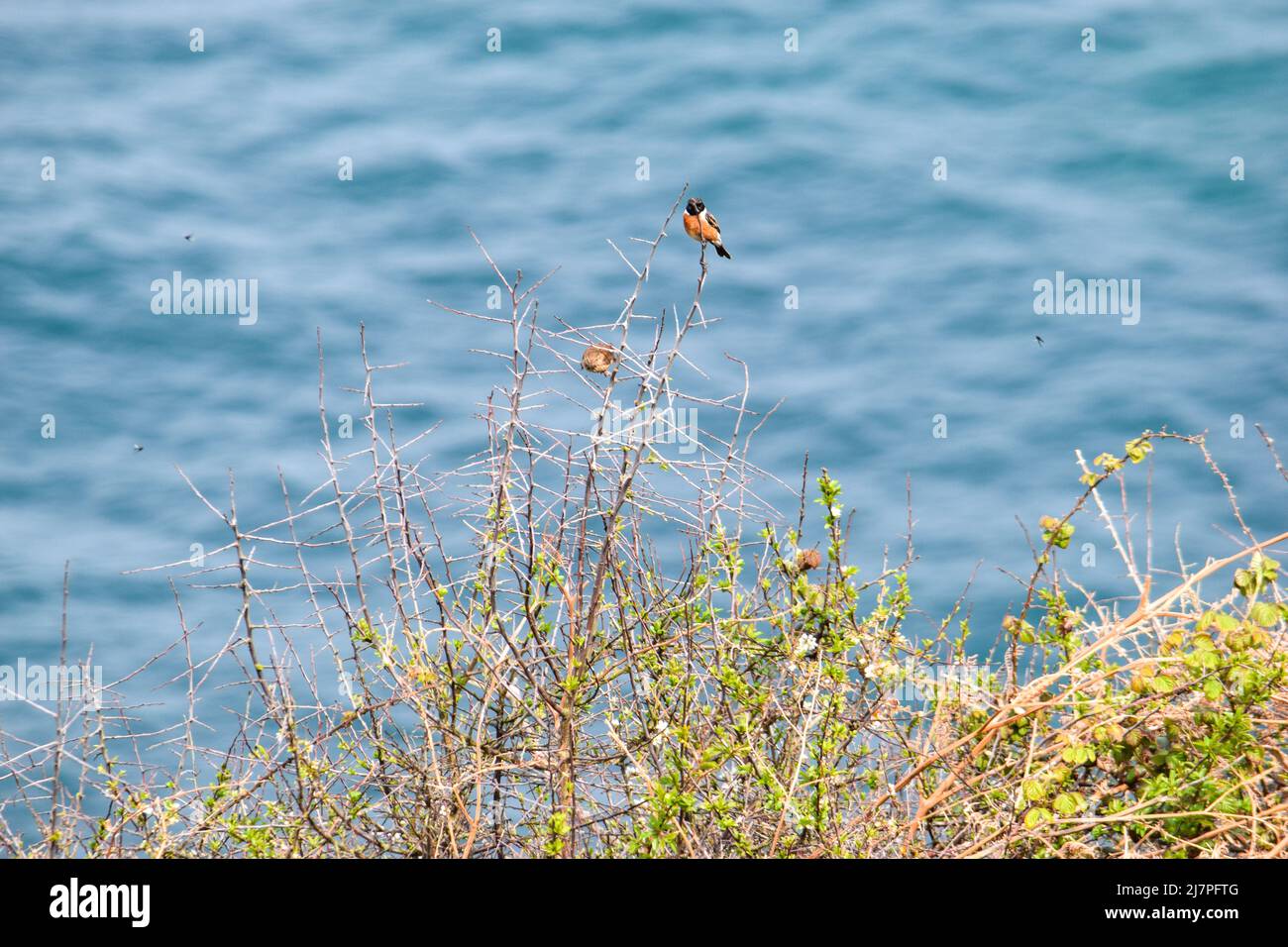 Vault Beach 290422 Foto Stock
