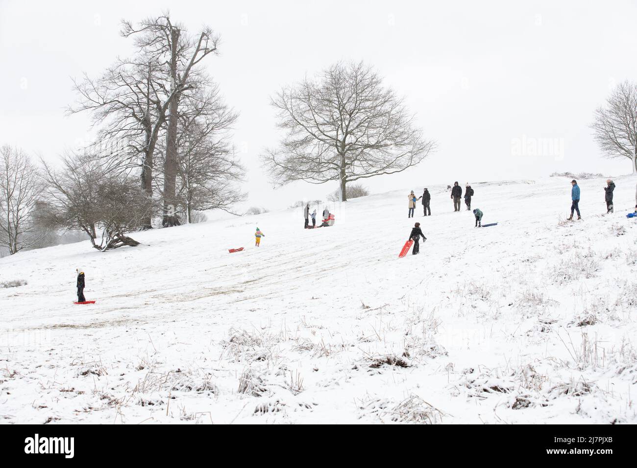 Persone che godono la neve al Knole Park a Sevenoaks, Kent caratterizzato: Atmosfera dove: Kent, Regno Unito quando: 07 Feb 2021 Credit: Phil Lewis/WENN Foto Stock