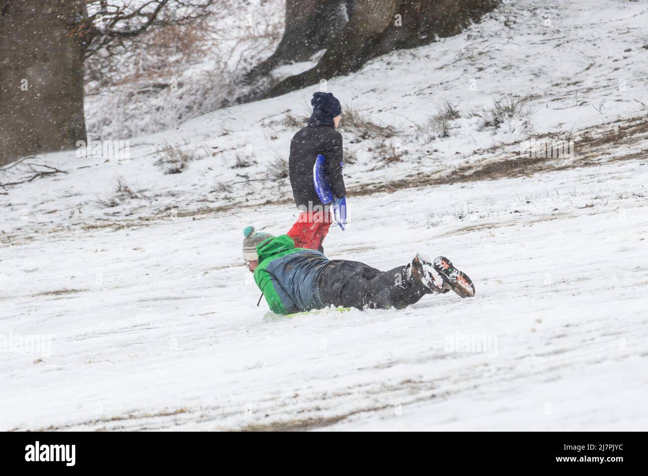 Persone che godono la neve al Knole Park a Sevenoaks, Kent caratterizzato: Atmosfera dove: Kent, Regno Unito quando: 07 Feb 2021 Credit: Phil Lewis/WENN Foto Stock