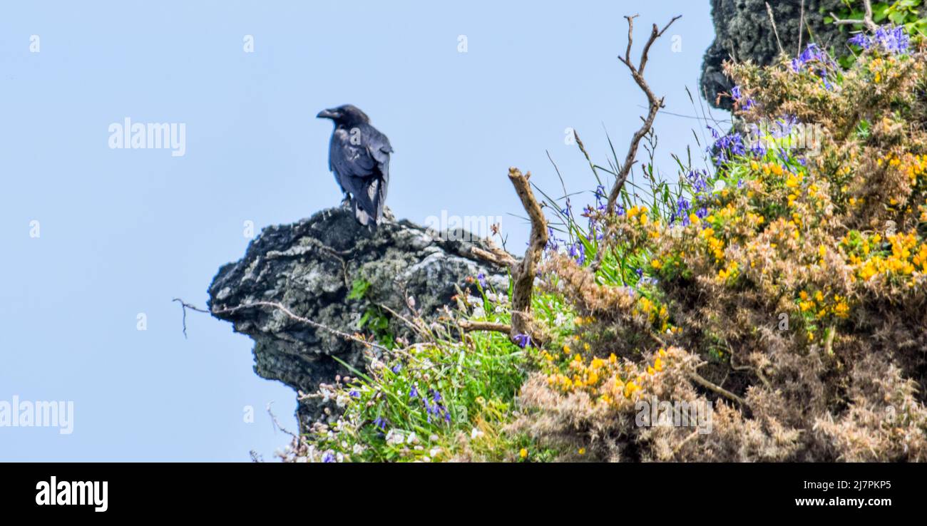 Vault Beach 290422 Foto Stock