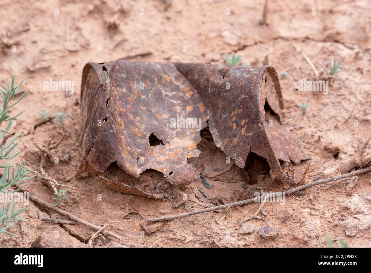 Camminando sulla terra rigata può arrugginire nel deserto, Canyonlands National Park, Utah. Foto Stock