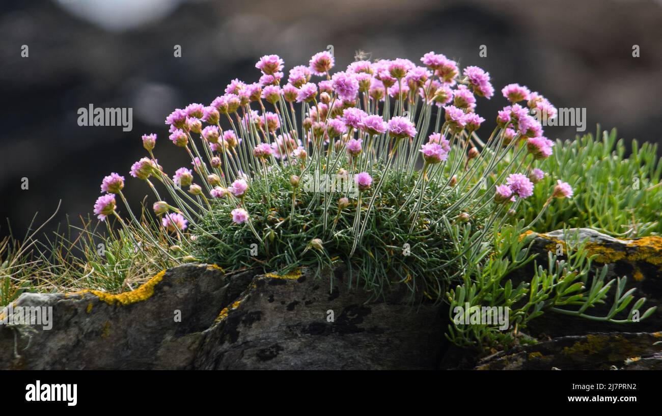 Vault Beach 290422 Foto Stock