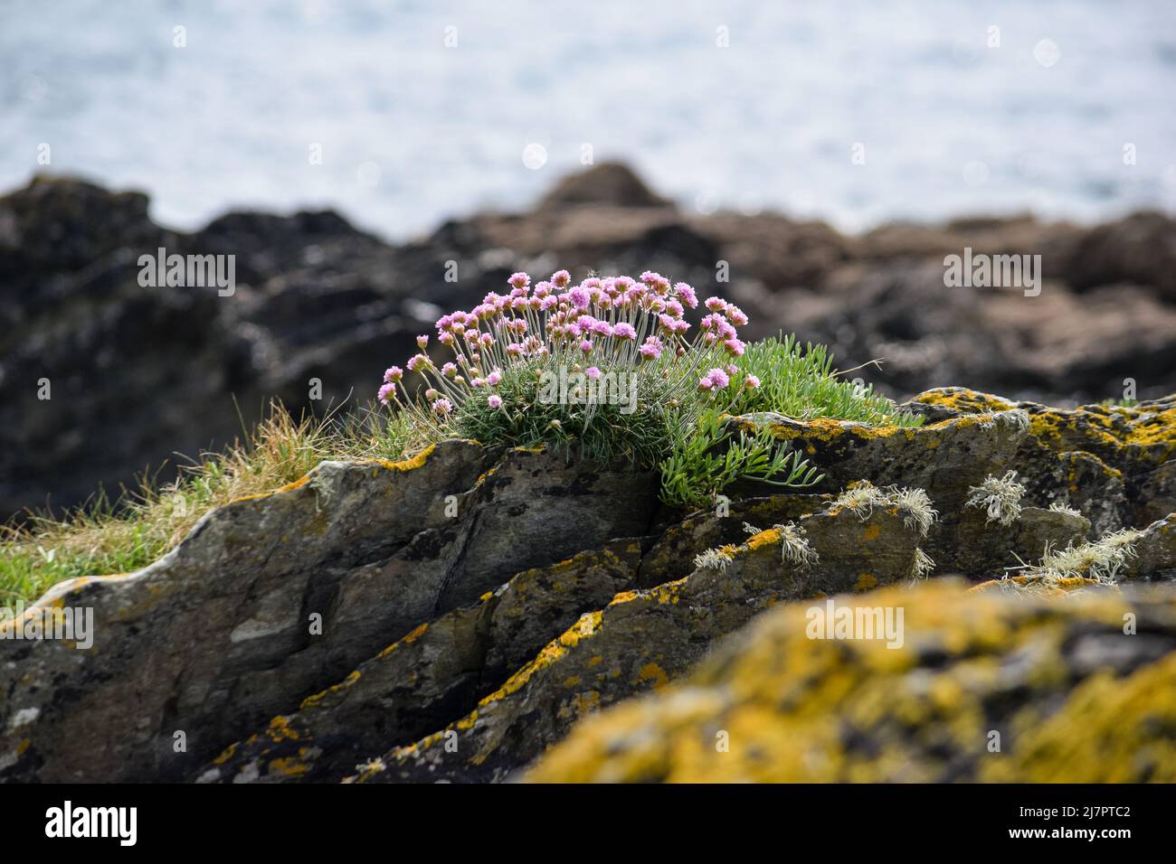 Vault Beach 290422 Foto Stock