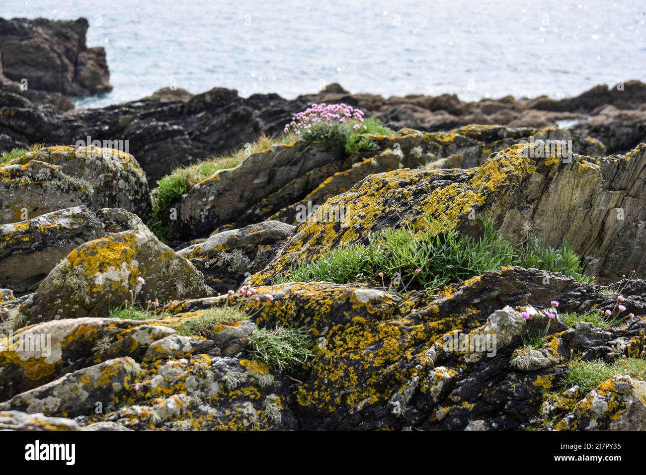 Vault Beach 290422 Foto Stock