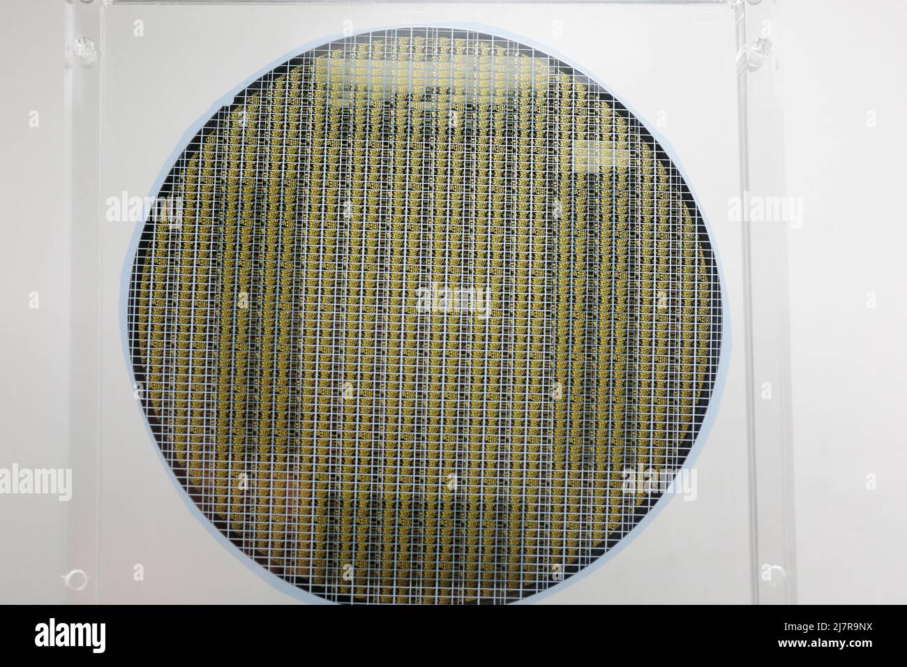 Fetta di silicio semiconduttore in un vassoio trasparente di plastica. Fuoco selettivo. Foto Stock