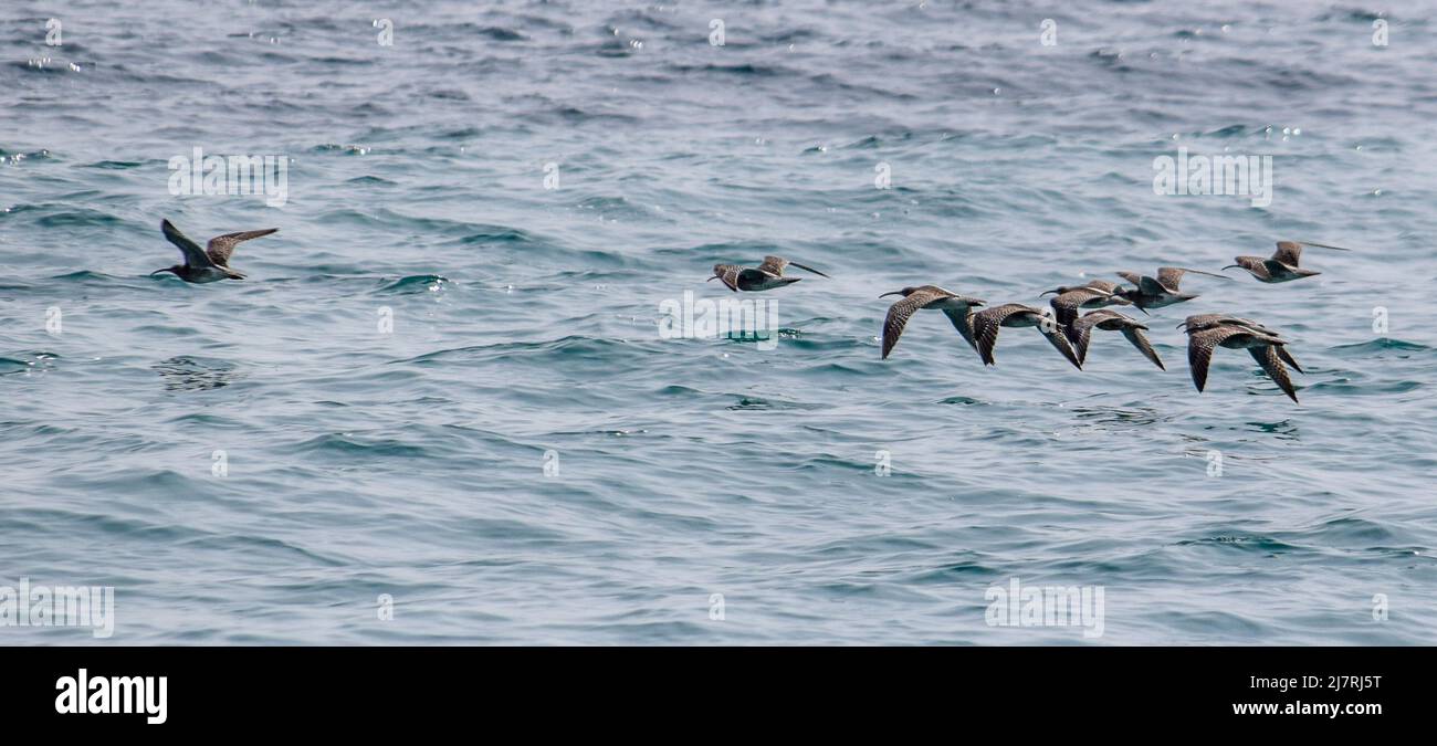 Vault Beach 290422 Foto Stock