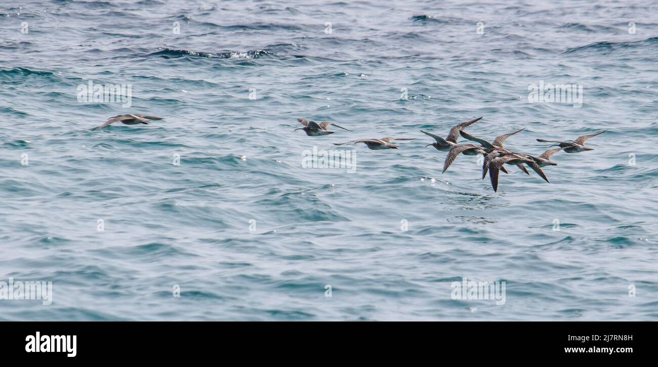 Vault Beach 290422 Foto Stock