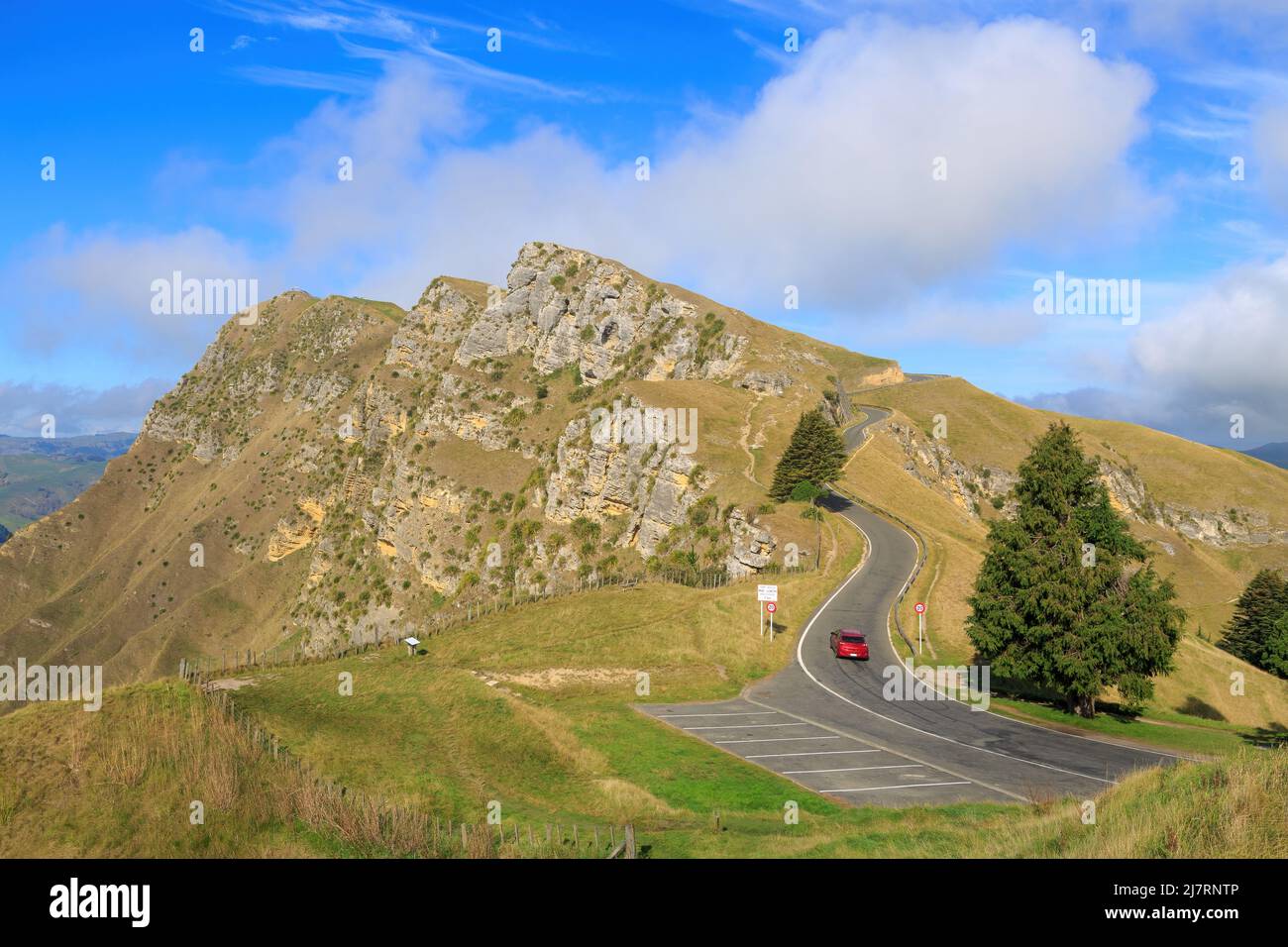 La strada per la cima del te Mata Peak, una montagna nella regione di Hawke's Bay, Nuova Zelanda, popolare per le sue viste panoramiche Foto Stock