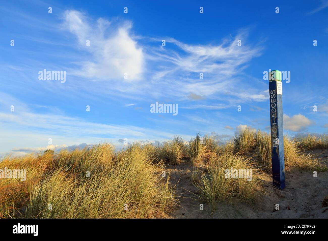 Un cartello di accesso alla spiaggia accanto ad un sentiero attraverso le erbe delle dune. Fotografato su una spiaggia nella baia di Plenty, Nuova Zelanda Foto Stock