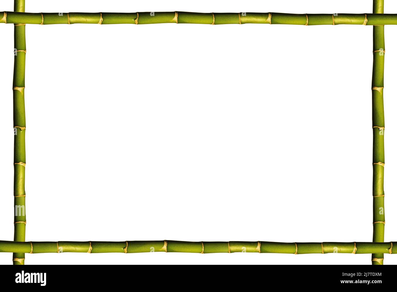 Quadro vuoto legno e verde bambù cornice, isolato su sfondo bianco Foto  stock - Alamy