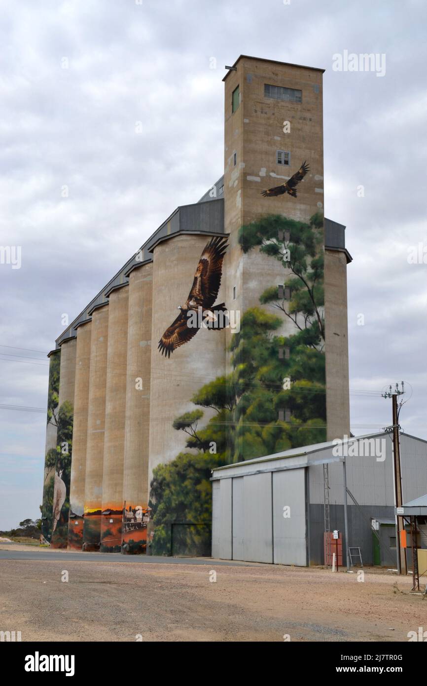 Ritratto di un murale nella città di Karoonda, South Australia, che fa parte del percorso d'arte del silo australiano Foto Stock