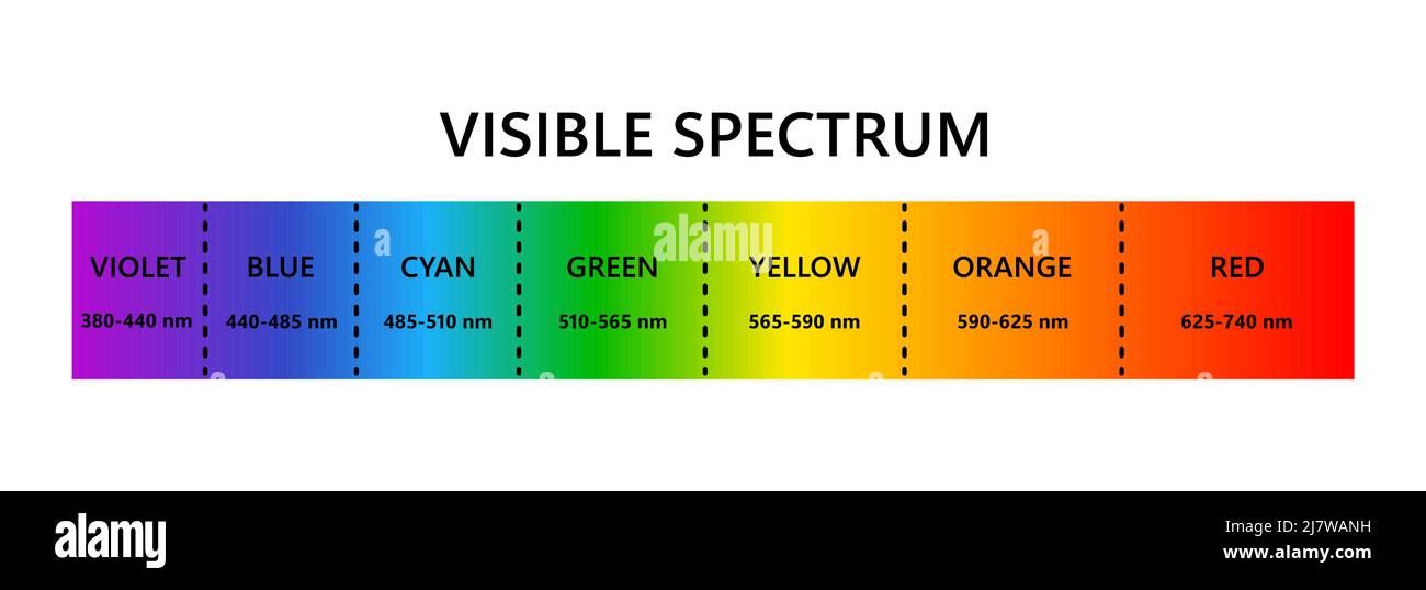 Spettro luminoso visibile. Lunghezza d'onda della luce ottica. Spettro di colori visibili elettromagnetici per l'occhio umano. Diagramma gradiente vettoriale con lunghezza d'onda e. Illustrazione Vettoriale