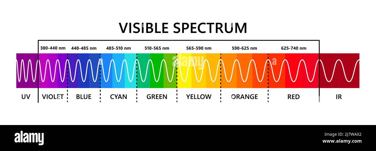 Spettro luminoso visibile, infared e ultravioletto. Lunghezza d'onda della luce ottica. Spettro di colori visibili elettromagnetici per l'occhio umano. Diagramma gradiente Illustrazione Vettoriale
