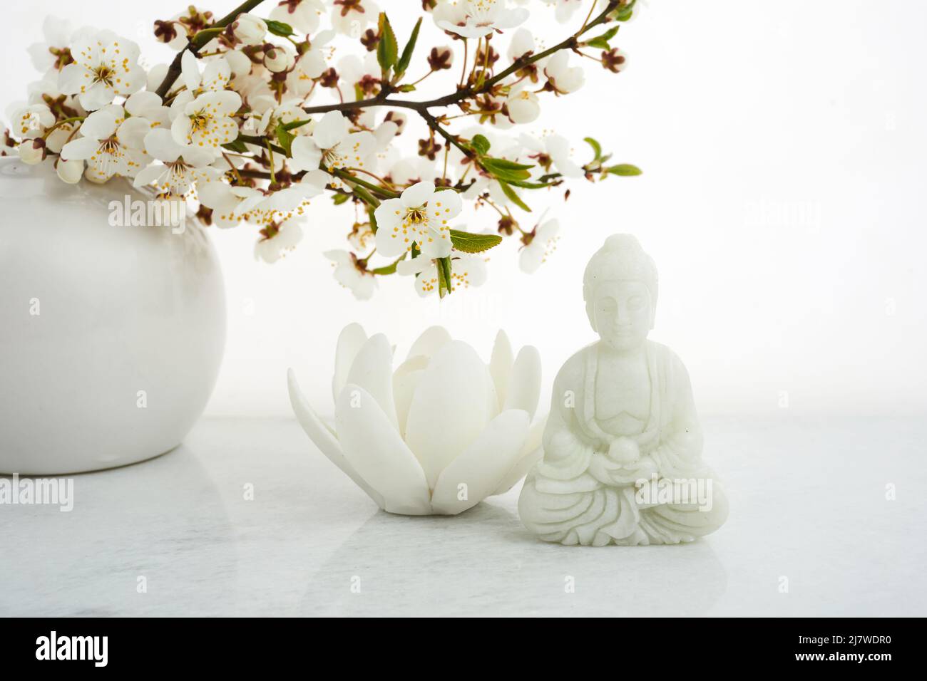 Vesak, Wesak, compleanno del Buddha. Statua di Buddha con ciliegia in fiore su sfondo bianco. Rituale del centro benessere. Salute mentale e meditazione. Foto Stock