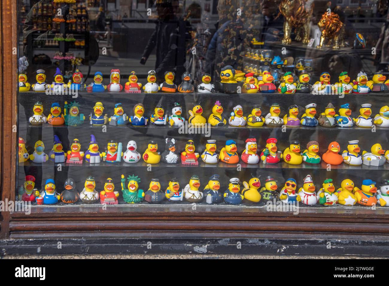 un negozio che vende solo anatre di plastica nel centro di amsterdam olanda Foto Stock