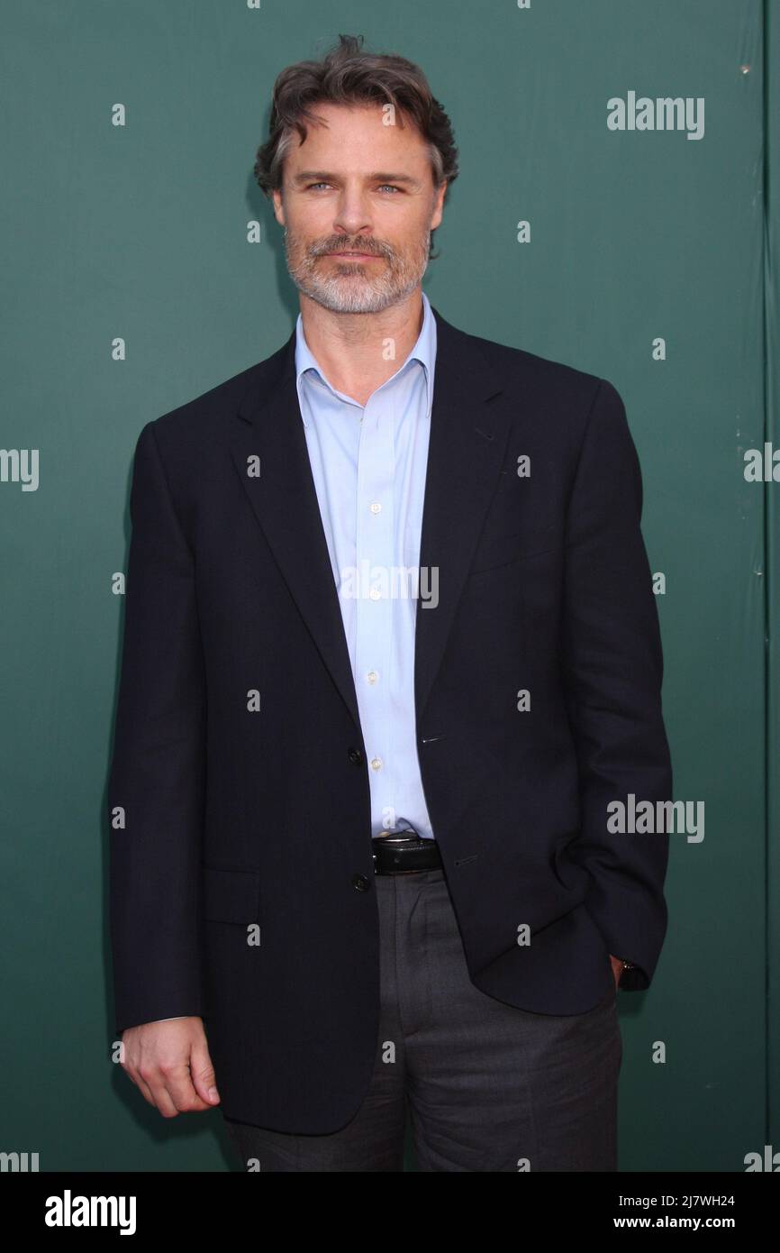 LOS ANGELES - LUG 8: Dylan Neal alla Crown Media Networks Luglio 2014 TCA Party alla Private Estate il 8 luglio 2014 a Beverly Hills, CA Foto Stock