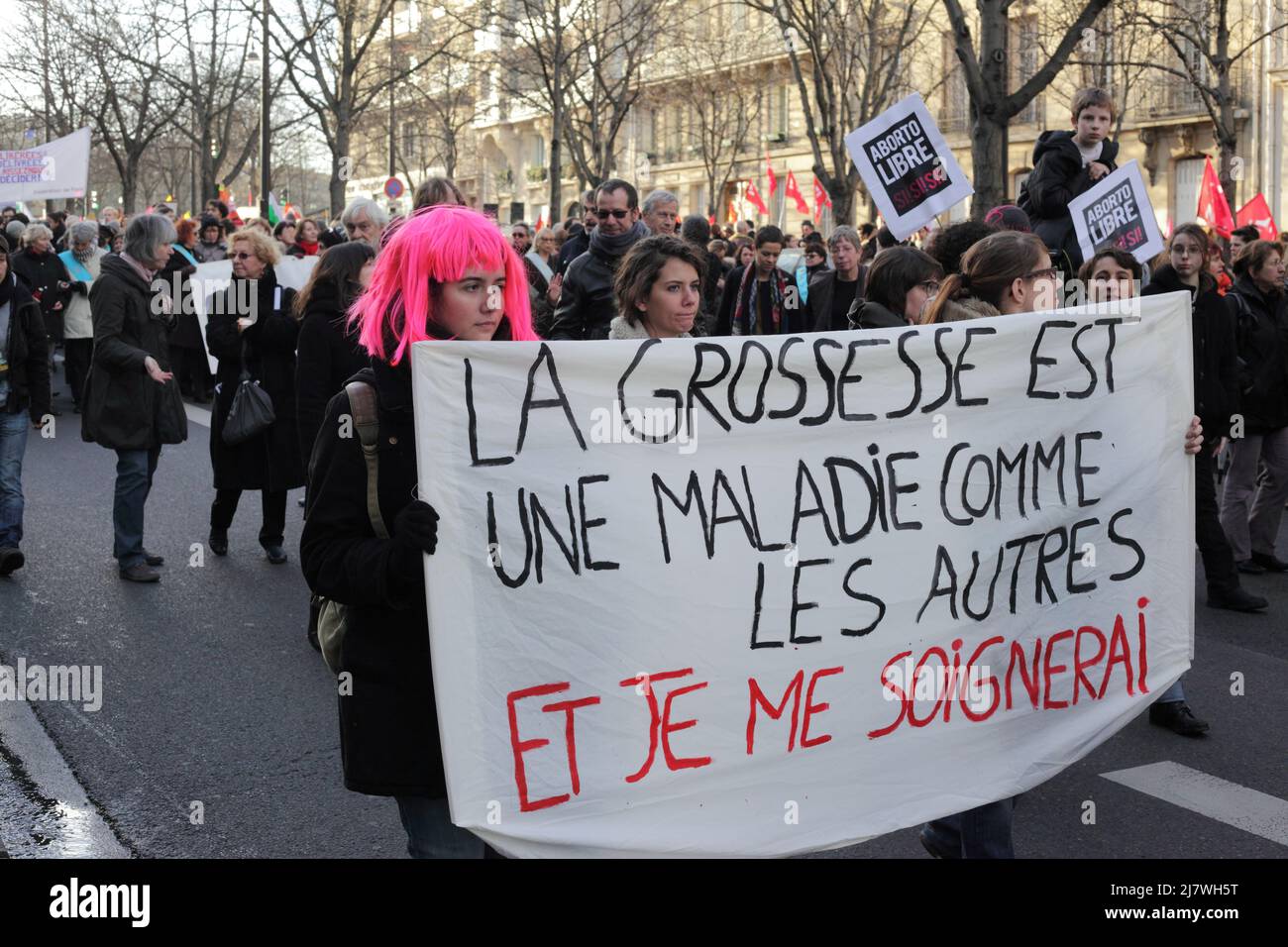 Parigi : manifestation contre le projet de loi anti-avortement en Espagne 01er février 2014. La grossesse est une maladie comme les autres et je me soi Foto Stock