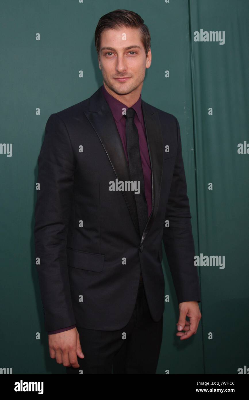 LOS ANGELES - LUGLIO 8: Daniel Lissing alla Crown Media Networks Luglio 2014 TCA Party alla Private Estate il 8 luglio 2014 a Beverly Hills, CA Foto Stock