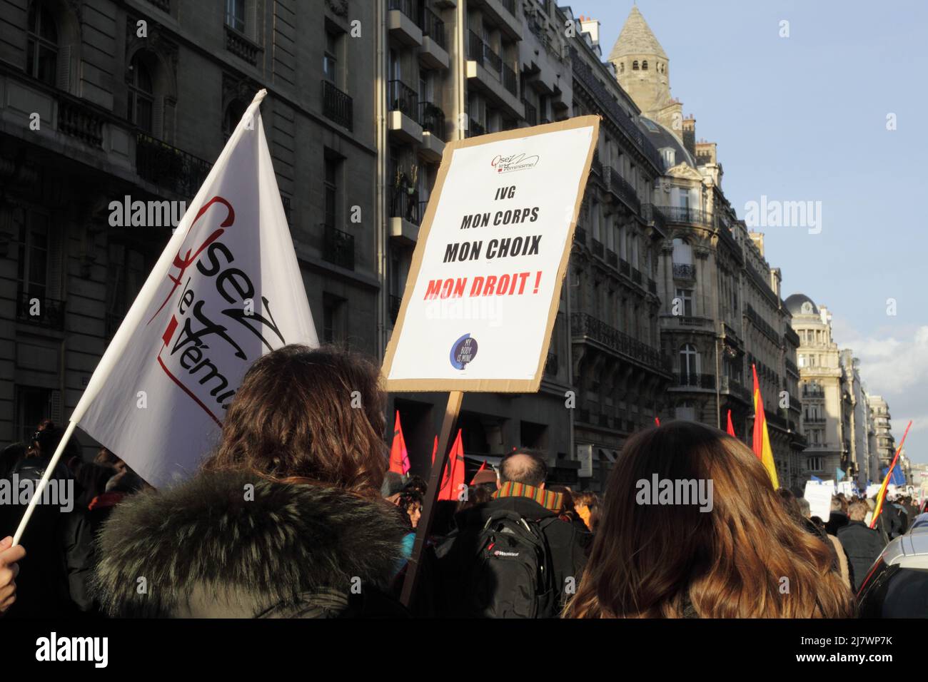 Parigi : manifestation contre le projet de loi anti-avortement en Espagne 01er février 2014. Panneau 'corpo IVG mon, choix mon, droit mon' Foto Stock