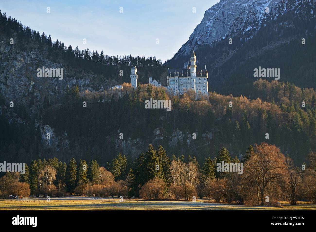 Veduta della fiaba tedesca: Il castello di Neuschwanstein circondato da boschi, nelle Alpi bavaresi Foto Stock
