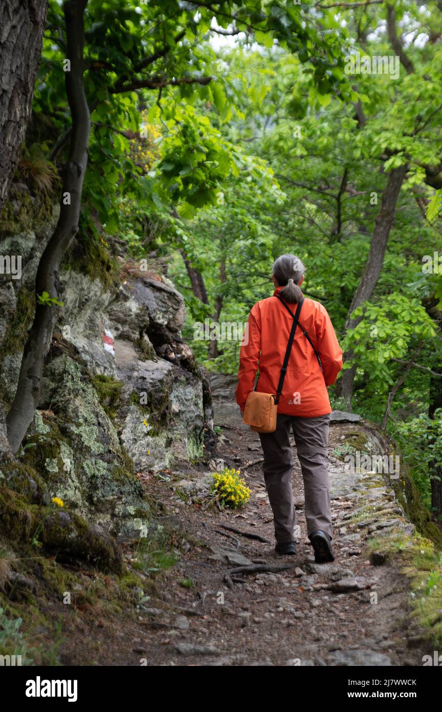 Il vario percorso che si snoda sul Vogelbergsteig fino alle rovine storiche del castello di Dürnstein è uno dei percorsi escursionistici più belli del Wachau. Foto Stock