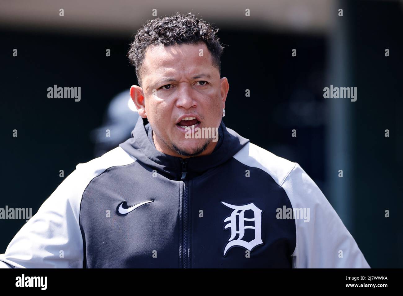 DETROIT, mi - 10 MAGGIO: Il battitore designato Miguel Cabrera (24) raduna i suoi compagni di squadra nel dugout contro gli Oakland Athletics al Comerica Park il 10 maggio 2022 a Detroit, Michigan. (Joe Robbins/immagine dello sport) Foto Stock