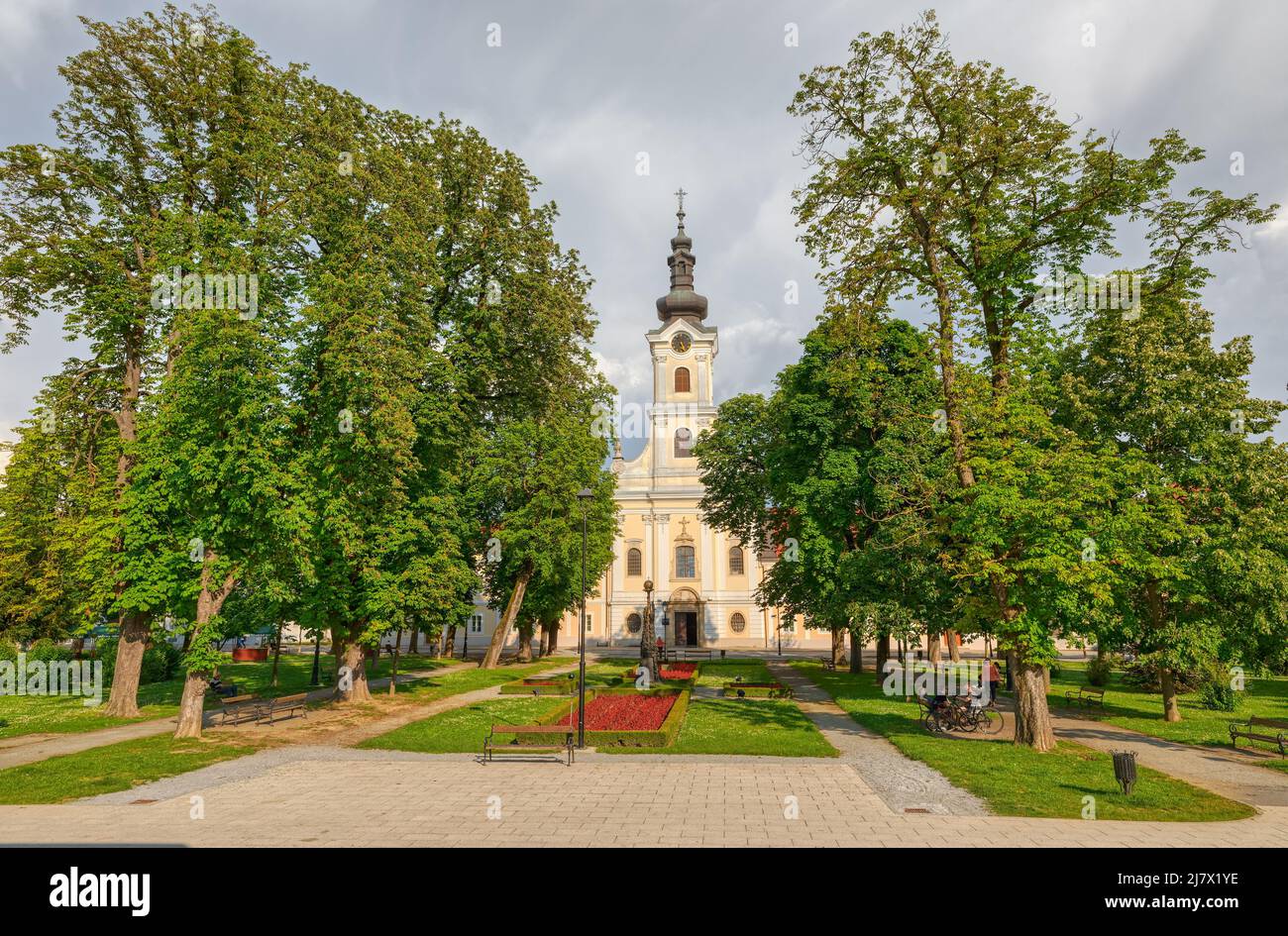 Bjelovar Cattedrale di Teresa di Avila vista dal parco centrale Foto Stock