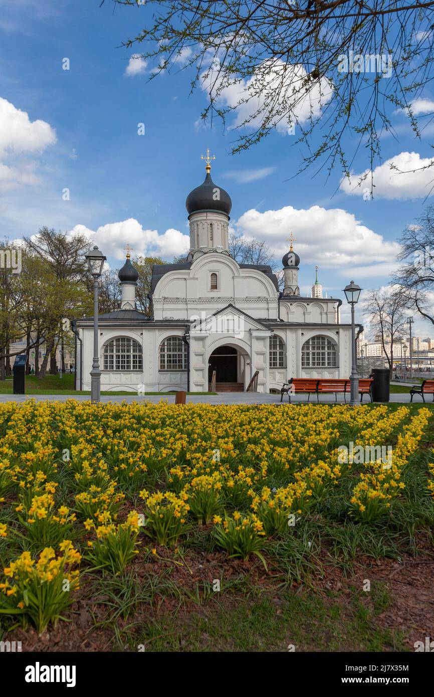 Chiesa della Concezione di Anna, all'angolo, Mosca. I fiori primaverili fioriscono in primo piano. Foto Stock