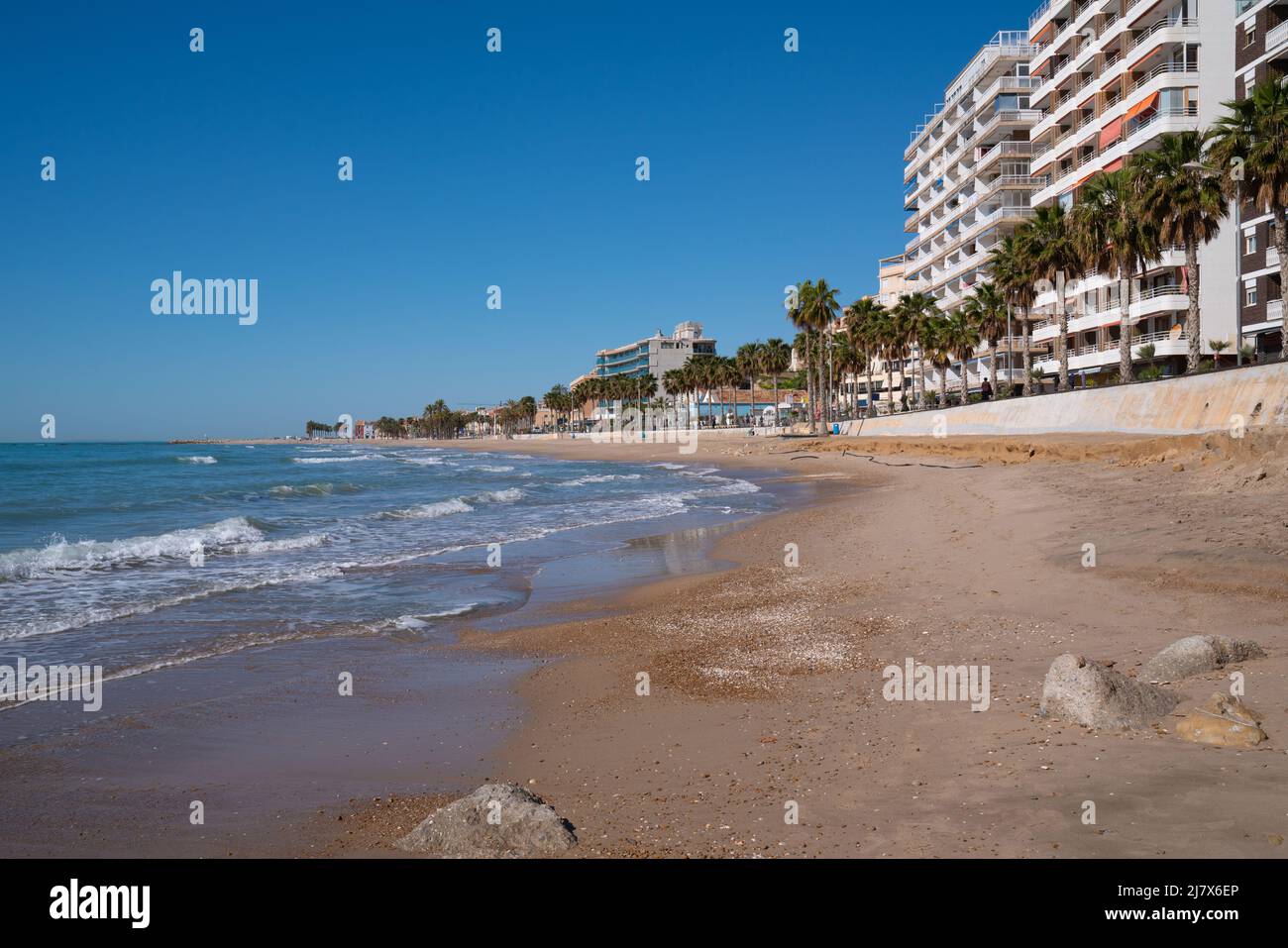 Villajoyosa Spagna spiaggia e lungomare con palme sabbia e appartamenti Costa Blanca Alicante Foto Stock