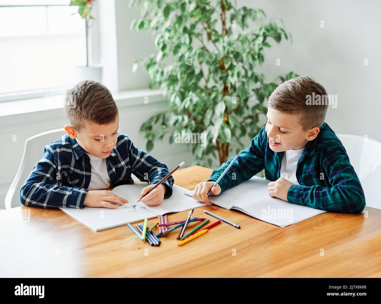 bambino ragazzo lavoro scuola istruzione scuola classe studiare infanzia casa bambino studente Foto Stock