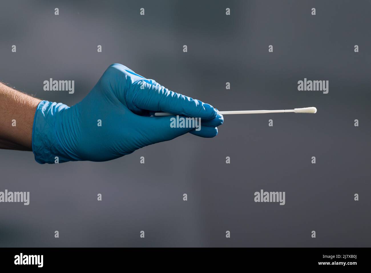 Primo piano della mano del medico che maneggia un test dello striscio o del tampone in un laboratorio medico Foto Stock