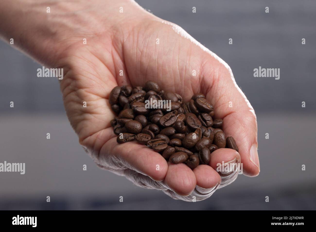 una mano umana che tiene i chicchi di caffè Foto Stock