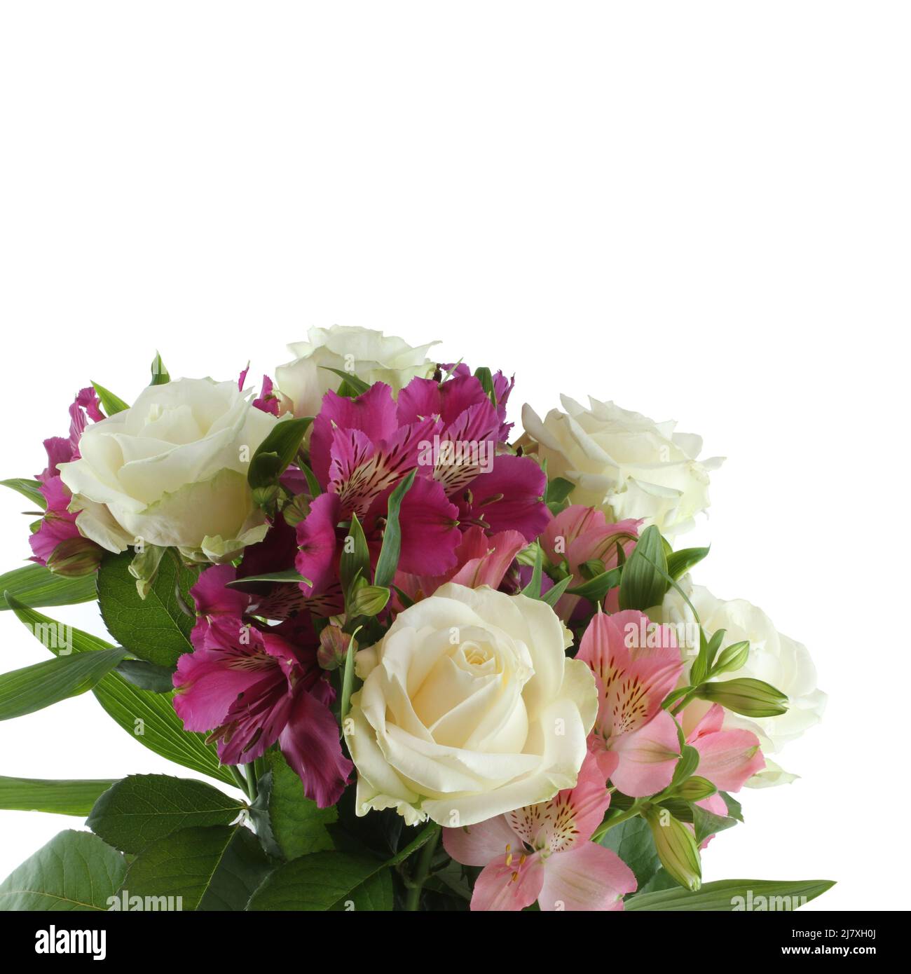 Bouquet di grandi rose bianche, fiori di alstroemeria rosa e lilla isolati su sfondo bianco. Primo piano. Foto Stock