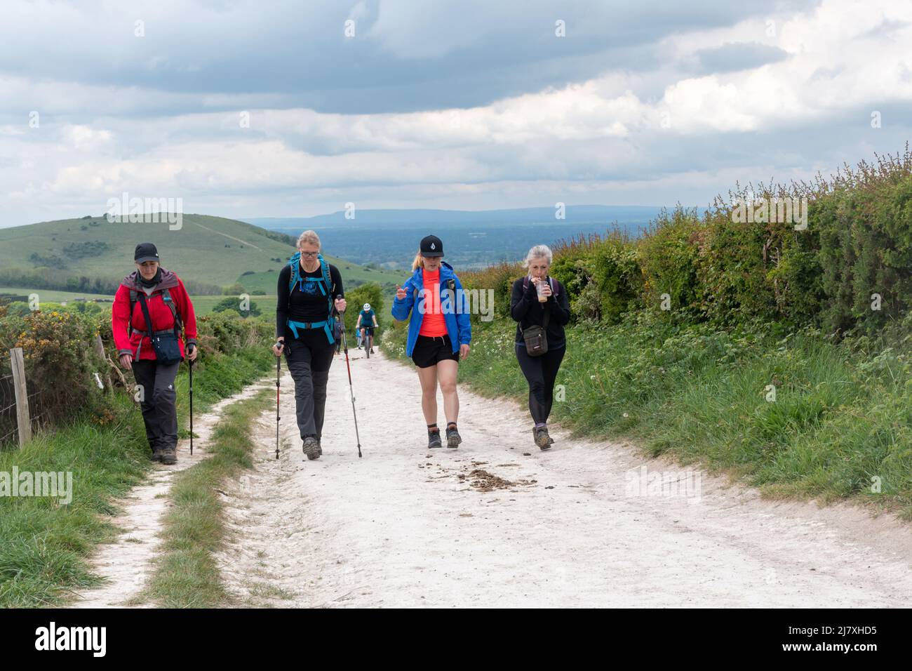 Quattro donne che camminano lungo percorso della South Downs Way nel West Sussex, Inghilterra, Regno Unito, durante la fine della primavera Foto Stock
