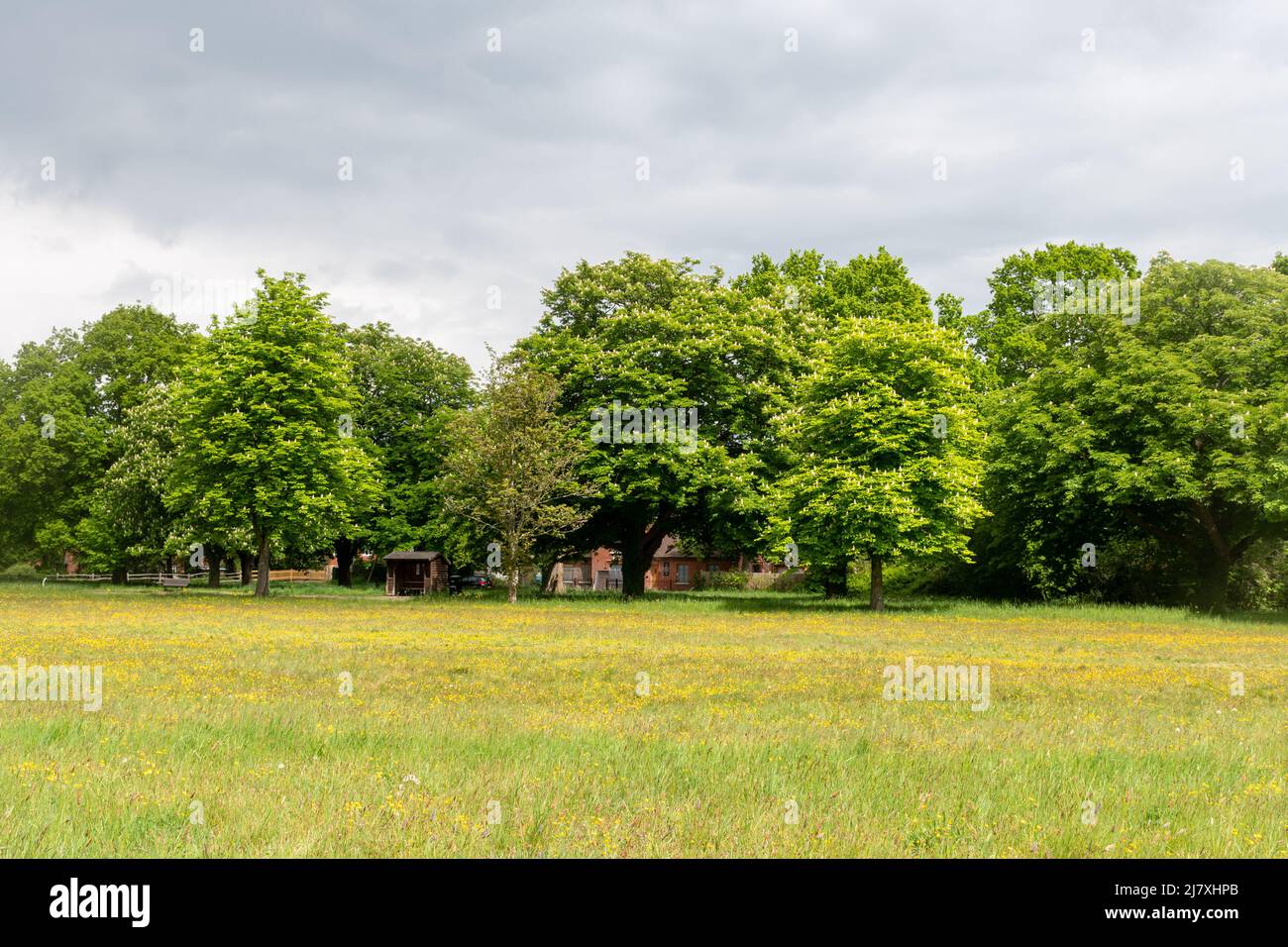 Dunsfuld Common nel villaggio di Dunsfuld, Surrey, Inghilterra, Regno Unito Foto Stock