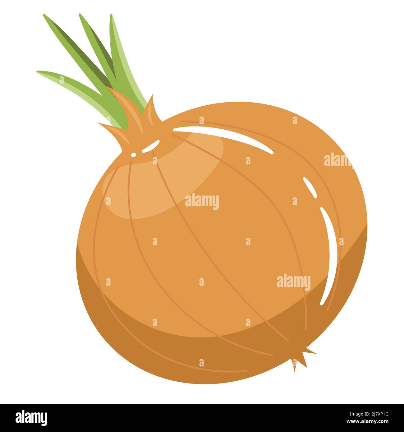 Cipolla vegetale radice vegetale con freccia verde. Clypart di cipolla gialla isolare su vettore di illustrazione bianco Illustrazione Vettoriale