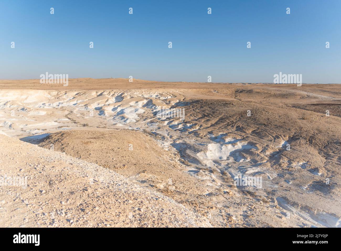 Bellissimo paesaggio lunare. Alture e dolci colline in varie forme in un paesaggio desertico. Le rocce bianche, arrotondate, tortuose e lisce di gesso. Israele. Foto di alta qualità Foto Stock