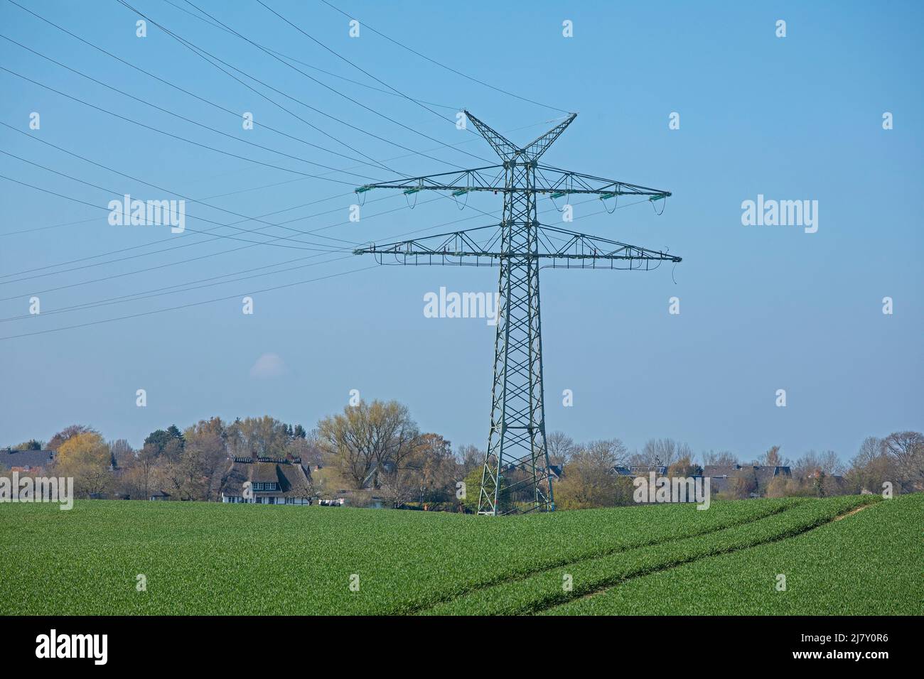 Pylon, Field, Rabel, Schleswig-Holstein, Germania Foto Stock