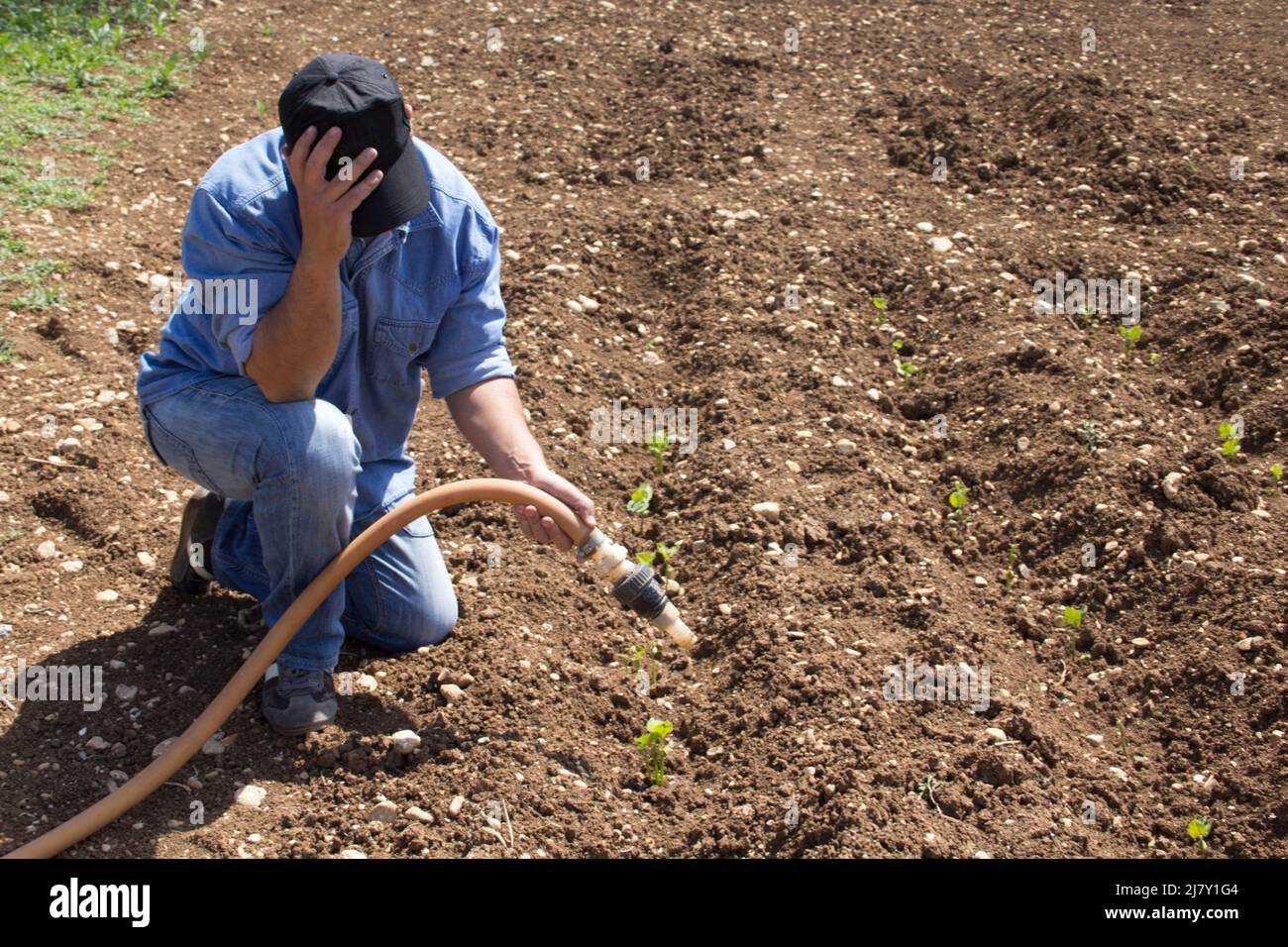 Coltivatore in campo aperto con una manichetta per irrigare l'orto e disperato per essere lasciato senza acqua. Problema di siccità e clima chang Foto Stock