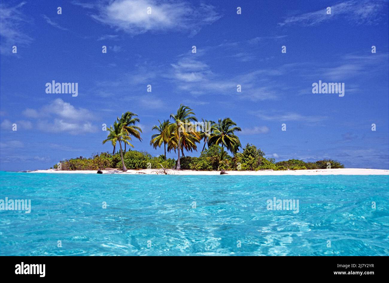 Piccola isola maldiviana disabitata con palme, spiaggia e laguna, Maldive, Oceano Indiano, Asia Foto Stock