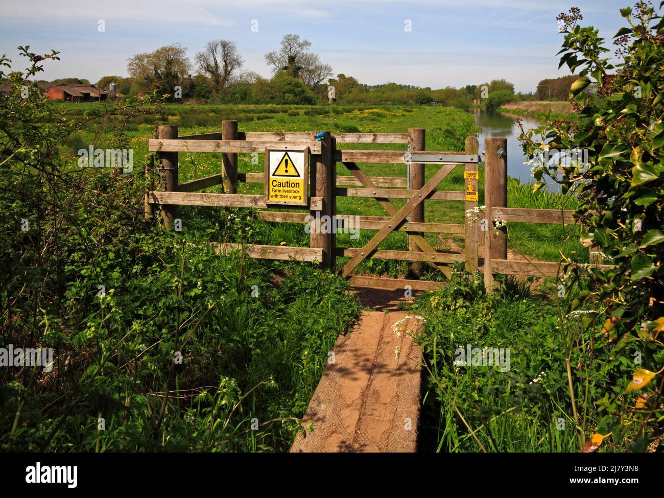 Una porta baciante all'ingresso del pascolo prato e sentiero lungo il fiume Bure verso Buxton a Horstead, Norfolk, Inghilterra, Regno Unito. Foto Stock