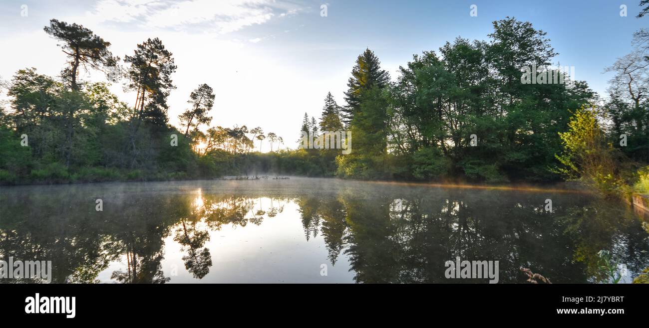 Etang de Lamoulasse au printemps 2 Foto Stock